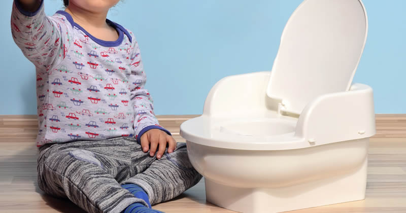 保育園で成功し家では嫌がり失敗する2歳児のトイレトレーニング1ヶ月の総まとめ たゆたえブログ